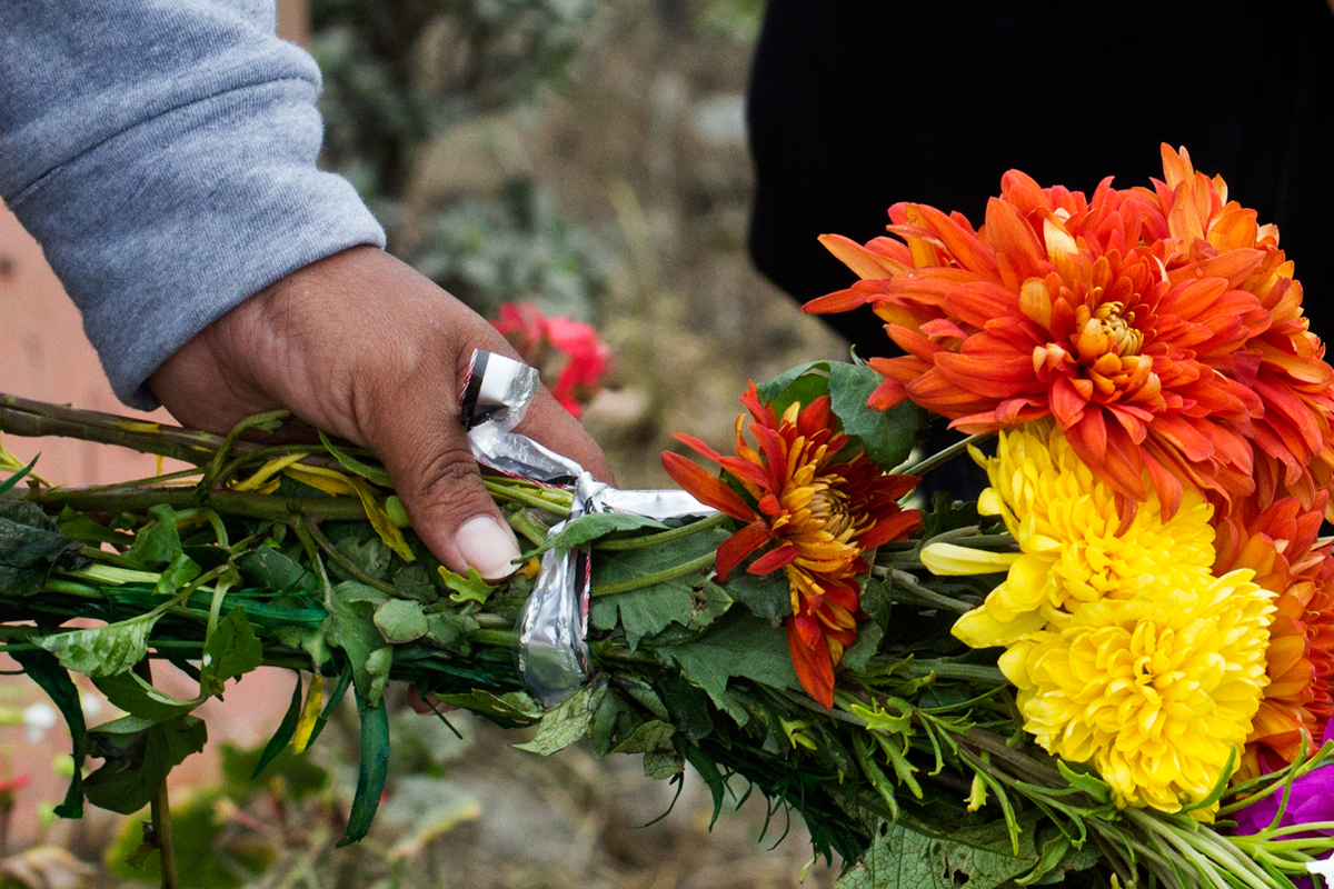 peru, cemetery, flowers, day of the dead, day of the living