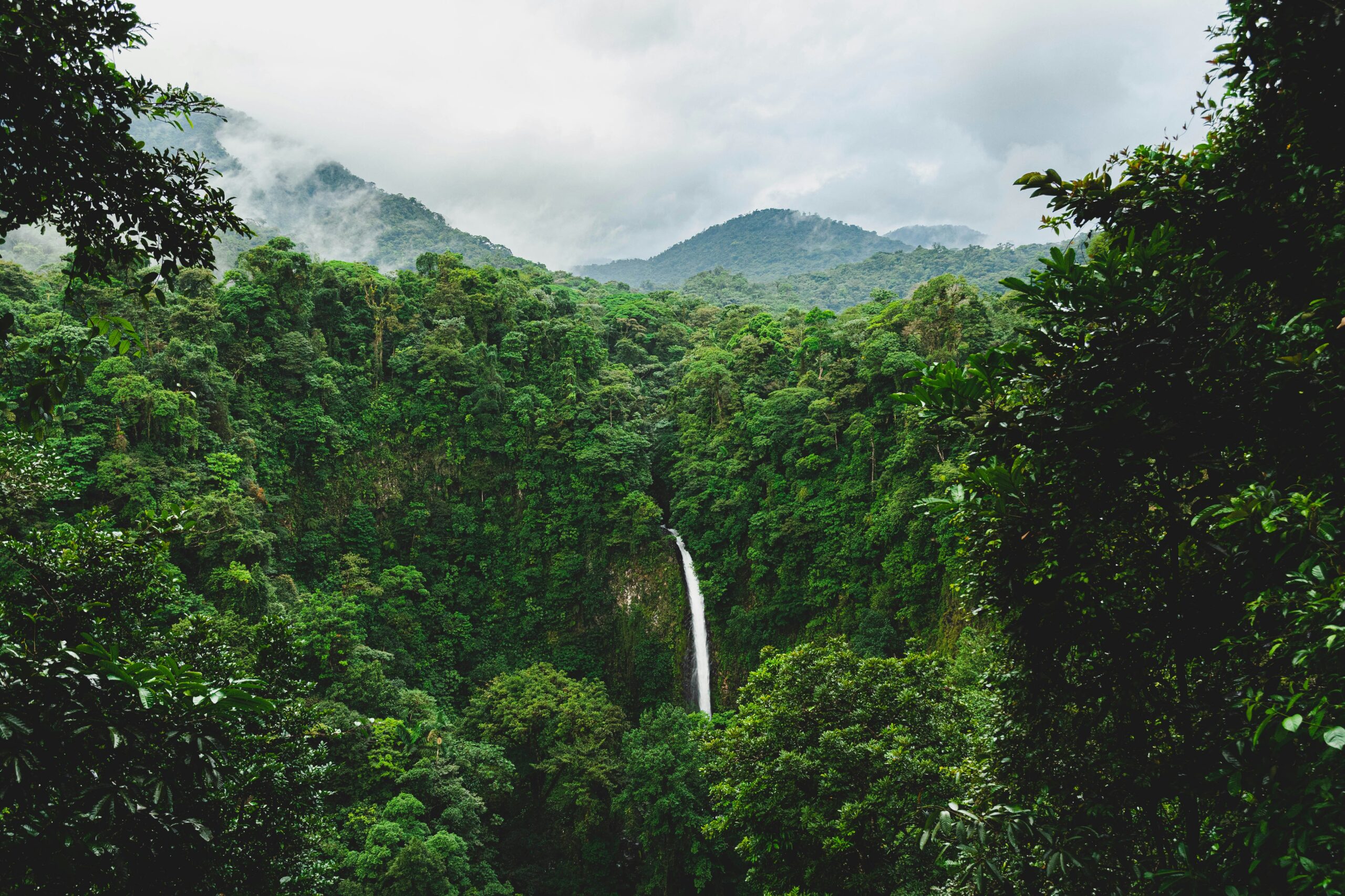 picture of a waterfall in the distance surrounded by green jungle